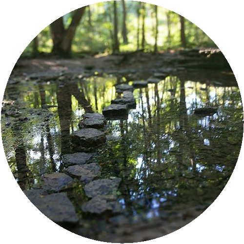 A closeup photo of pebbles scattered across a stream.